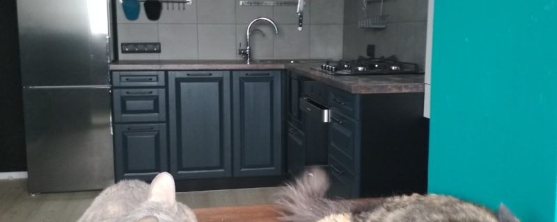 Кухня в лофт стиле. коты на кухне